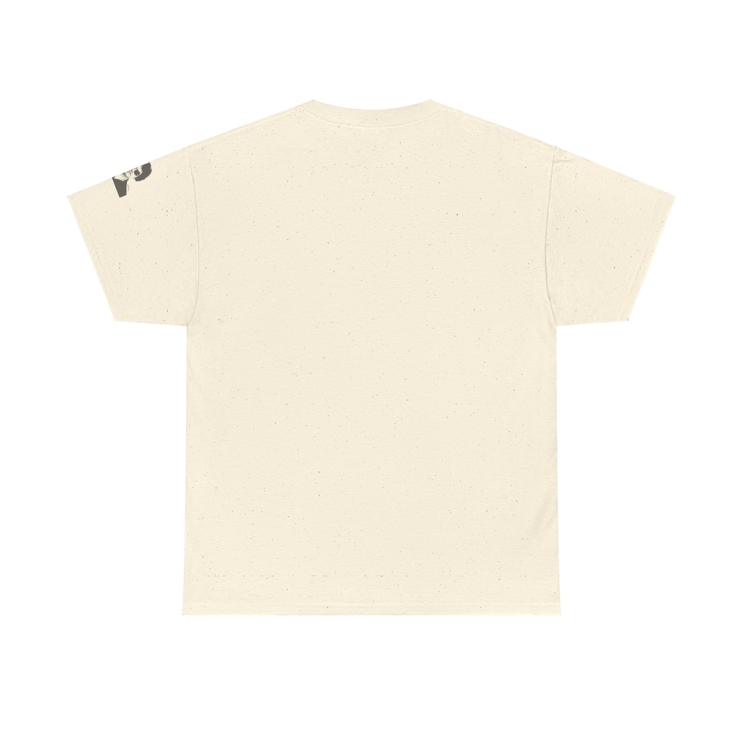 All You Need Is Love and a Cat Heavy Cotton Tee