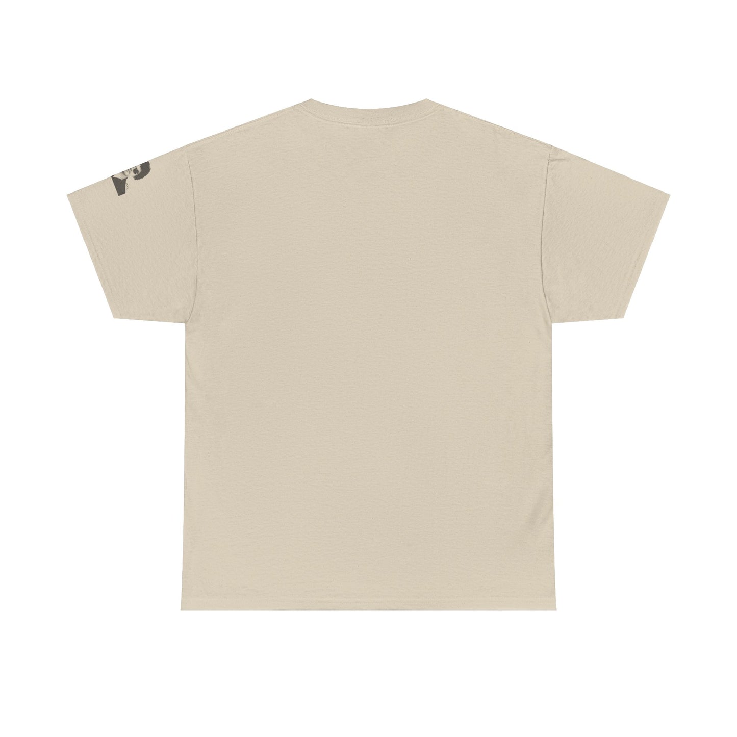 All You Need Is Love and a Cat Heavy Cotton Tee