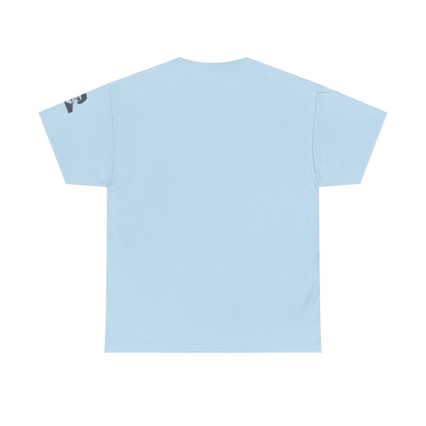 All You Need Is Love and a Cat Heavy Cotton Tee