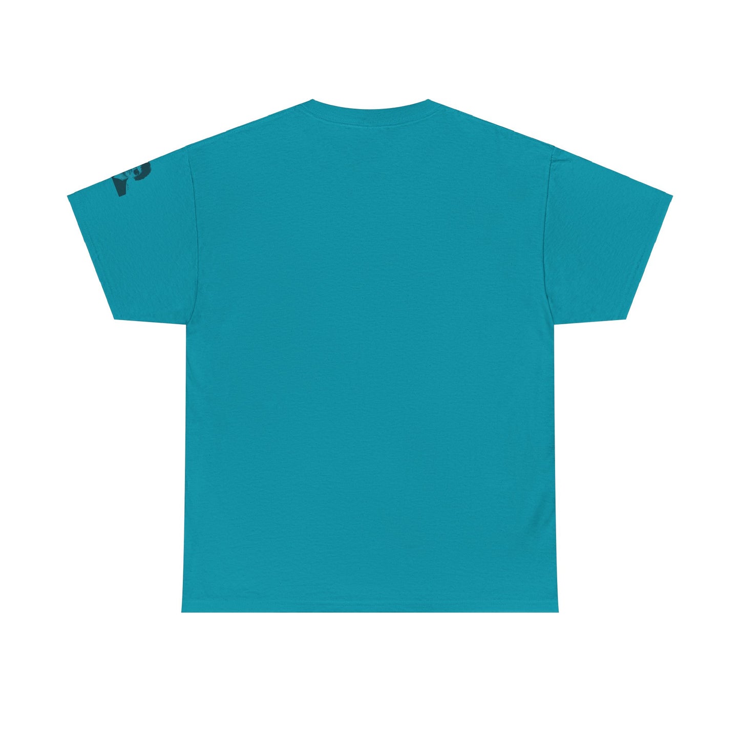 All You Need Is Love and a Cat Heavy Cotton Tee