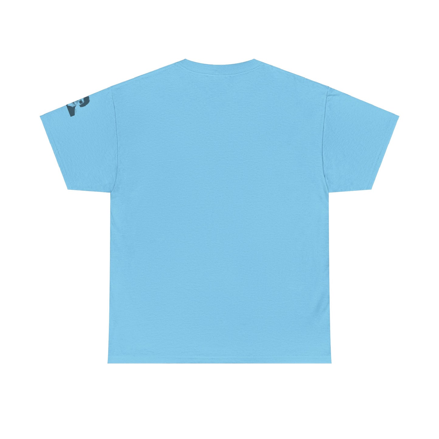 All You Need Is Love and a Cat Heavy Cotton Tee